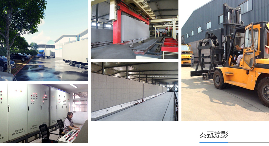 91视频免费试看